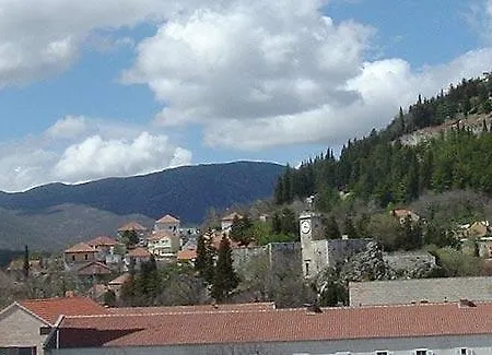 Jurika