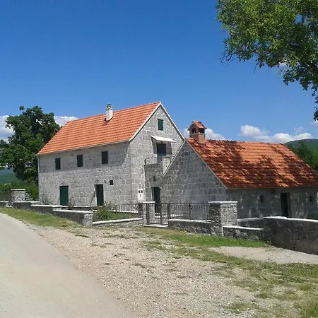 Jurika