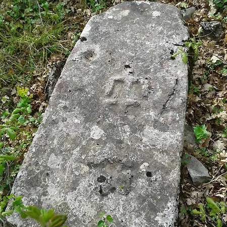 Jurika